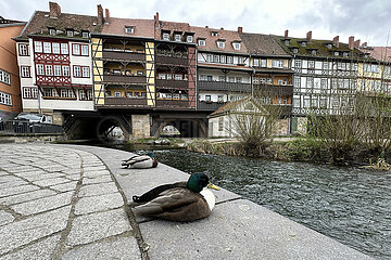 Erfurt  Deutschland  Fachwerkhaeuser der Kraemerbruecke