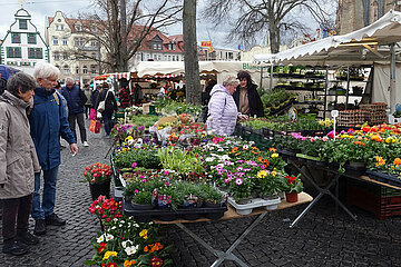 Erfurt  Deutschland  Menschen auf dem Wochenmarkt am Domplatz