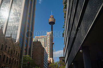 Sydney  Australien  Blick auf den Sydney Tower im Geschaeftsviertel der australischen Metropole