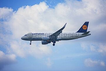 Berlin  Deutschland  Airbus A320 Passagierflugzeug der Lufthansa im Landeanflug auf den Flughafen Berlin Brandenburg BER