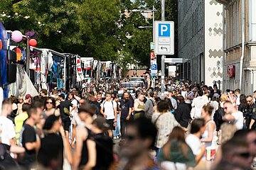 Tolerade  Technoparade gegen den Rechtsruck in Dresden