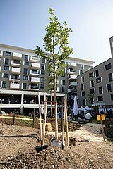 Begrüßung der ersten Mieter der Beamtencity in München