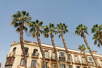 Sonnige Reise-Impressionen aus der zweitgrößten Stadt Andalusiens Málaga