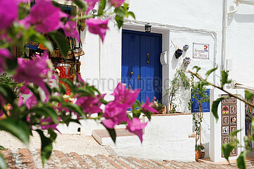 Sonnige Reise-Impressionen aus der zweitgrößten Stadt Andalusiens Málaga