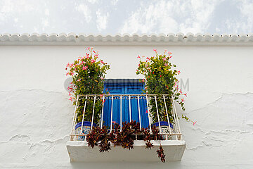 Sonnige Reise-Impressionen aus der zweitgrößten Stadt Andalusiens Málaga