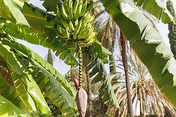 Sonnige Reise-Impressionen aus der zweitgrößten Stadt Andalusiens Málaga