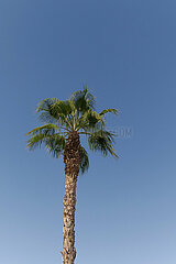 Sonnige Reise-Impressionen aus der zweitgrößten Stadt Andalusiens Málaga