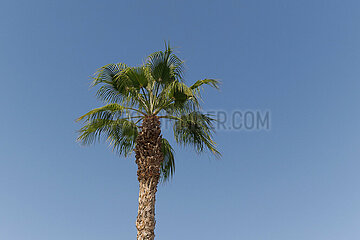 Sonnige Reise-Impressionen aus der zweitgrößten Stadt Andalusiens Málaga