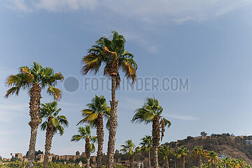 Sonnige Reise-Impressionen aus der zweitgrößten Stadt Andalusiens Málaga