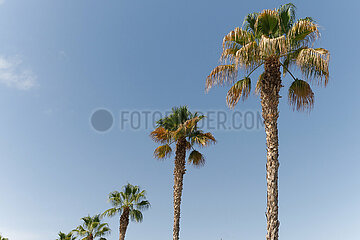 Sonnige Reise-Impressionen aus der zweitgrößten Stadt Andalusiens Málaga