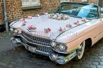 Cadillac Series 62 Convertible  Bj. 1959