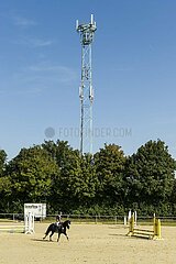 Mobilfunkmast überragt Reitplatz  sorgt für Empfang auf dem Land.