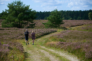 Lüneburger Heide