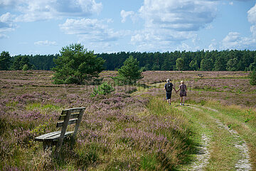 Lüneburger Heide