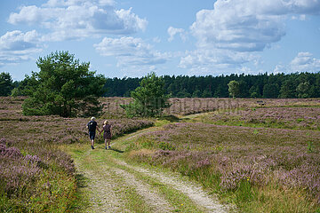 Lüneburger Heide