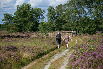 Lüneburger Heide