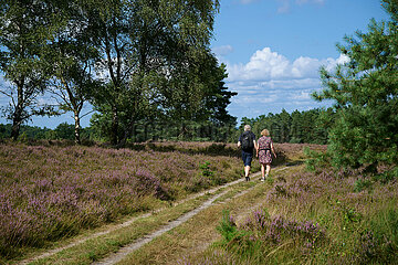 Lüneburger Heide