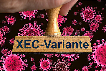 Symbolischer Stempel XEC-Variante