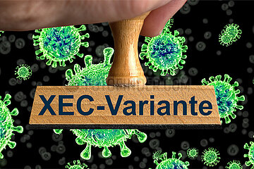 Symbolischer Stempel XEC-Variante