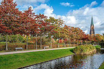 Herbstimpression mit St. Petri Dom in Schleswig