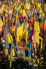 Ukraine  Lwiw - Das Marsfeld  Ehrenfriedhof der gefallenen Lwiwer Soldaten im Ukrainekrieg