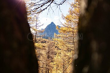 Eulenwiesen Wanderung im Stubaital in Tirol