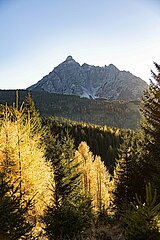 Eulenwiesen Wanderung im Stubaital in Tirol