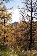 Eulenwiesen Wanderung im Stubaital in Tirol