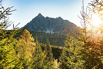 Eulenwiesen Wanderung im Stubaital in Tirol