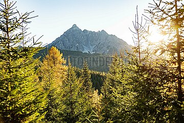 Eulenwiesen Wanderung im Stubaital in Tirol