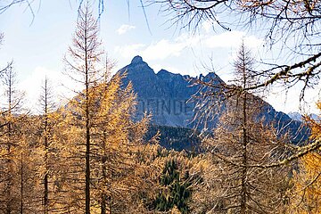 Eulenwiesen Wanderung im Stubaital in Tirol