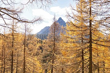 Eulenwiesen Wanderung im Stubaital in Tirol