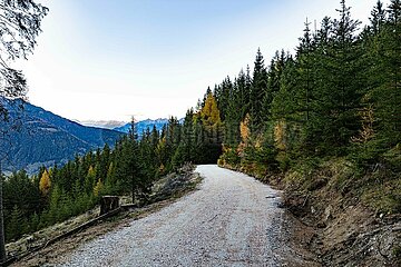 Eulenwiesen Wanderung im Stubaital in Tirol