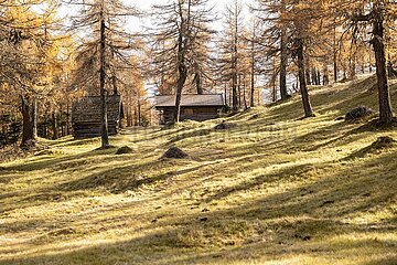 Eulenwiesen Wanderung im Stubaital in Tirol