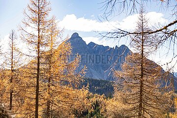 Eulenwiesen Wanderung im Stubaital in Tirol