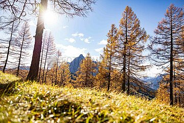 Eulenwiesen Wanderung im Stubaital in Tirol