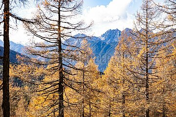 Eulenwiesen Wanderung im Stubaital in Tirol