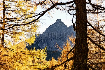 Eulenwiesen Wanderung im Stubaital in Tirol