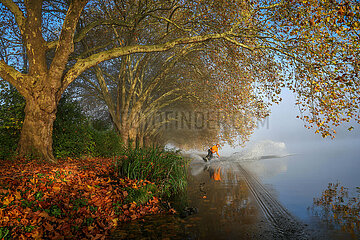 Wakeboarder gleitet ueber das Wasser  Goldener Herbst am Baldeneysee  Essen  Nordrhein-Westfalen  Deutschland