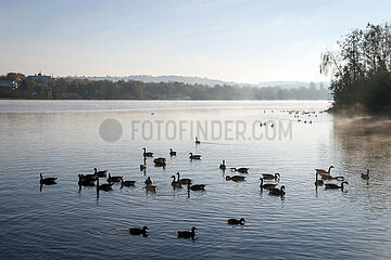 Herbst am Baldeneysee  Essen  Nordrhein-Westfalen  Deutschland