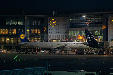 Deutschland  Frankfurt am Main - Passagierflugzeuge der Lufthansa am Flughafen Frankfurt  ihrem Heimatflughafen