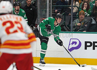 Dallas Stars v Calgary Flames -NHL