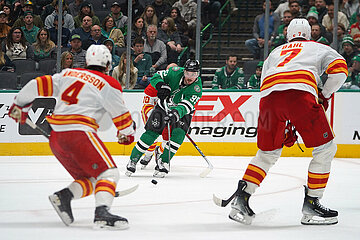 Dallas Stars v Calgary Flames -NHL
