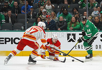 Dallas Stars v Calgary Flames -NHL