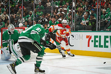 Dallas Stars v Calgary Flames -NHL
