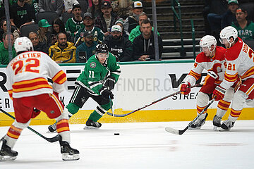Dallas Stars v Calgary Flames -NHL