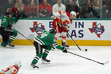 Dallas Stars v Calgary Flames -NHL