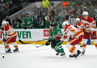 Dallas Stars v Calgary Flames -NHL