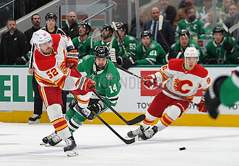Dallas Stars v Calgary Flames -NHL