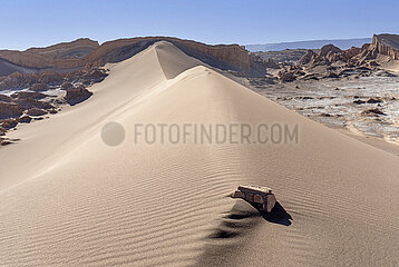 Tal des Mondes
Playero de Baird